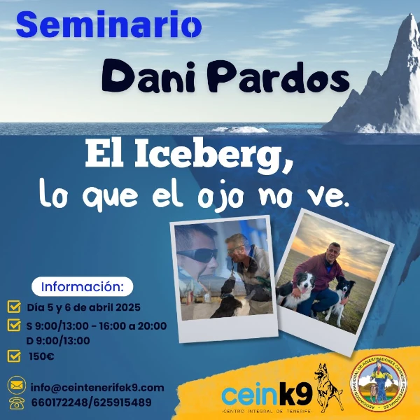 Seminario Dani Pardos: El iceberg, lo que el ojo no ve